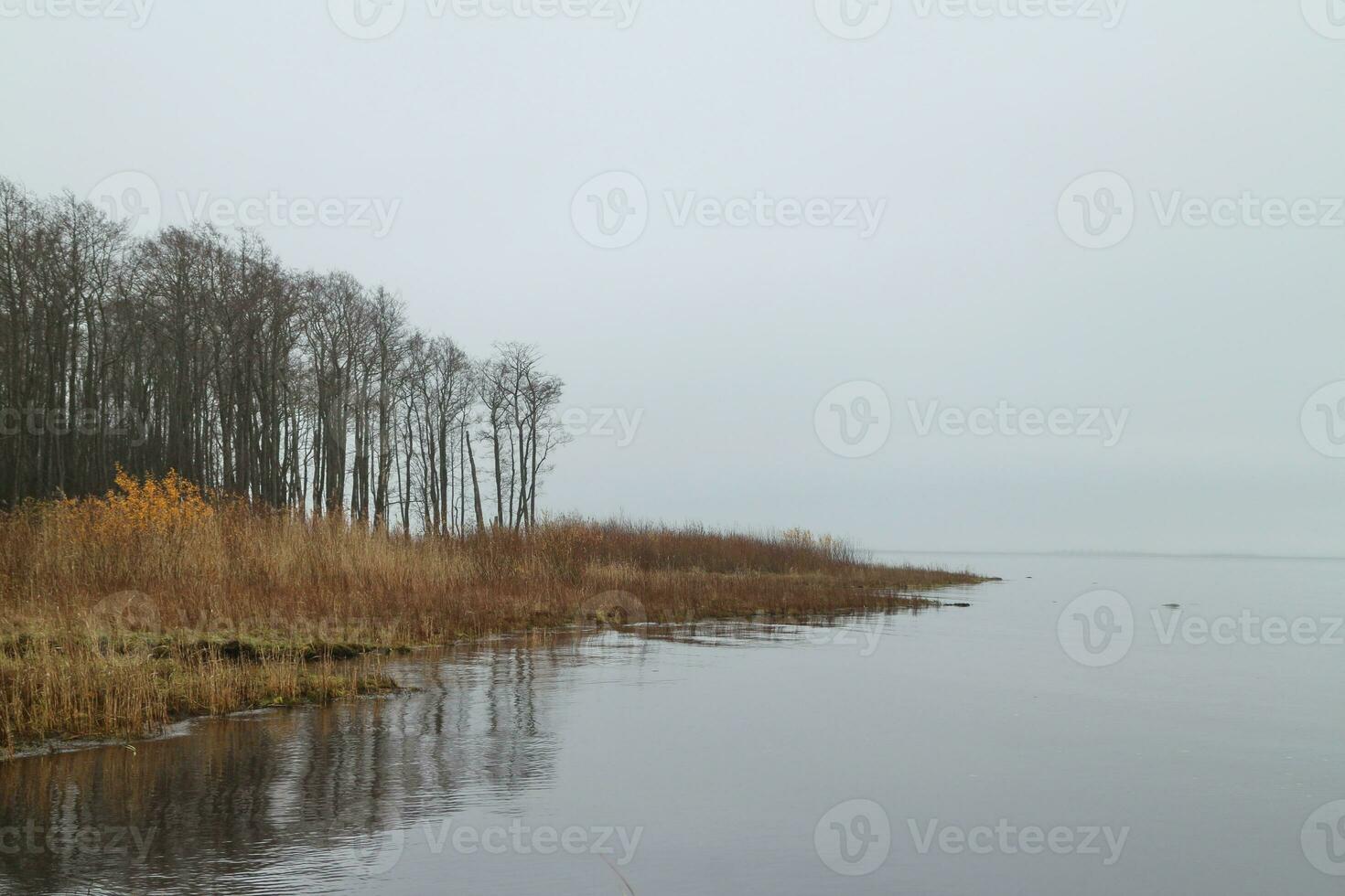 foggy autumn morning, waves, seashore, seascape, sky merges with the sea photo