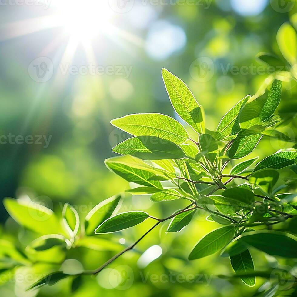 Close up of green leaf in a garden at summer under sunlight with blurred background. Generative AI photo