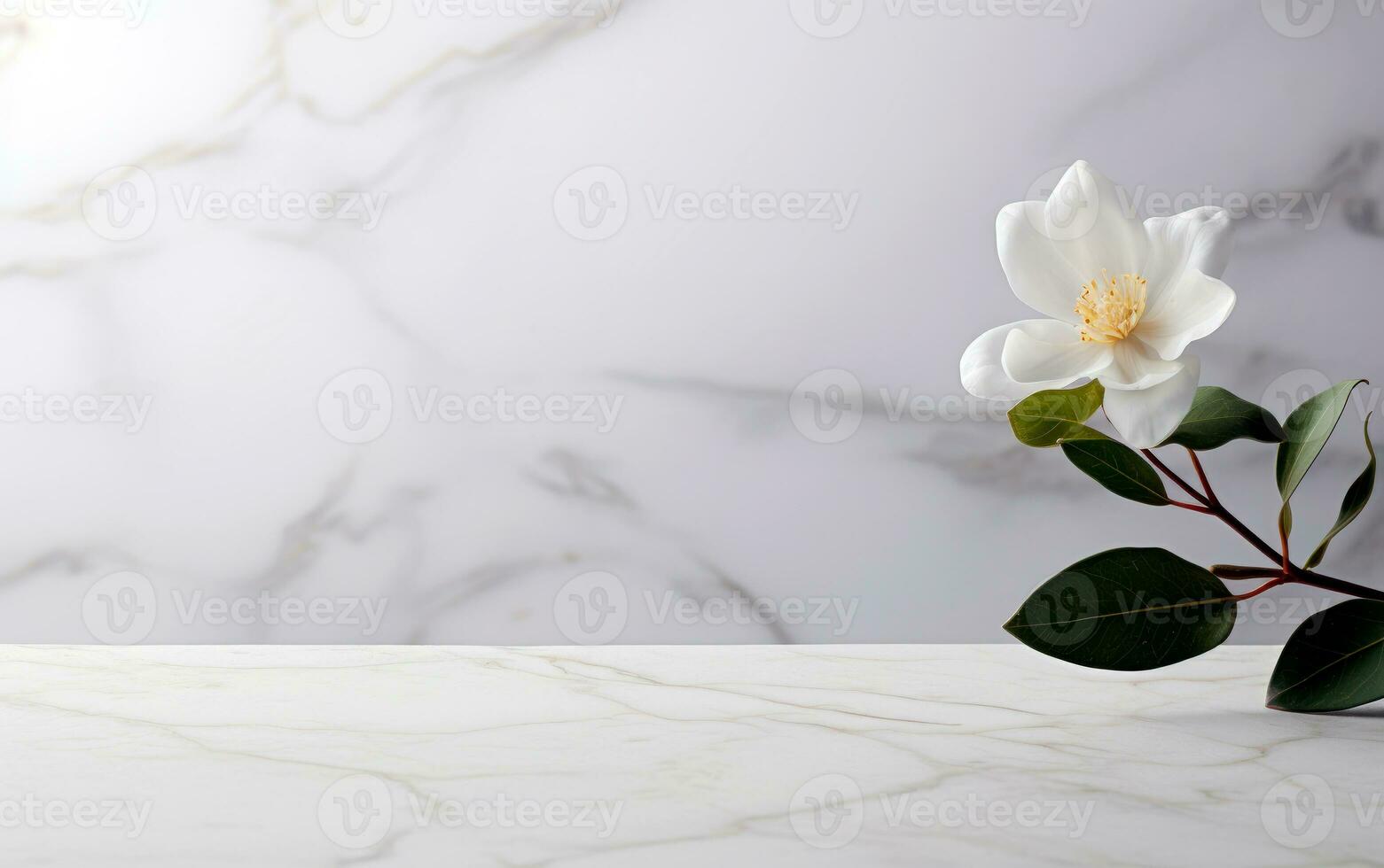 blanco mármol antecedentes con temperamental oscuridad, blanco orquídea y espacio para producto presentación. etapa escaparate para belleza, spa productos y productos cosméticos. promoción rebaja o publicidad. ai generativo foto