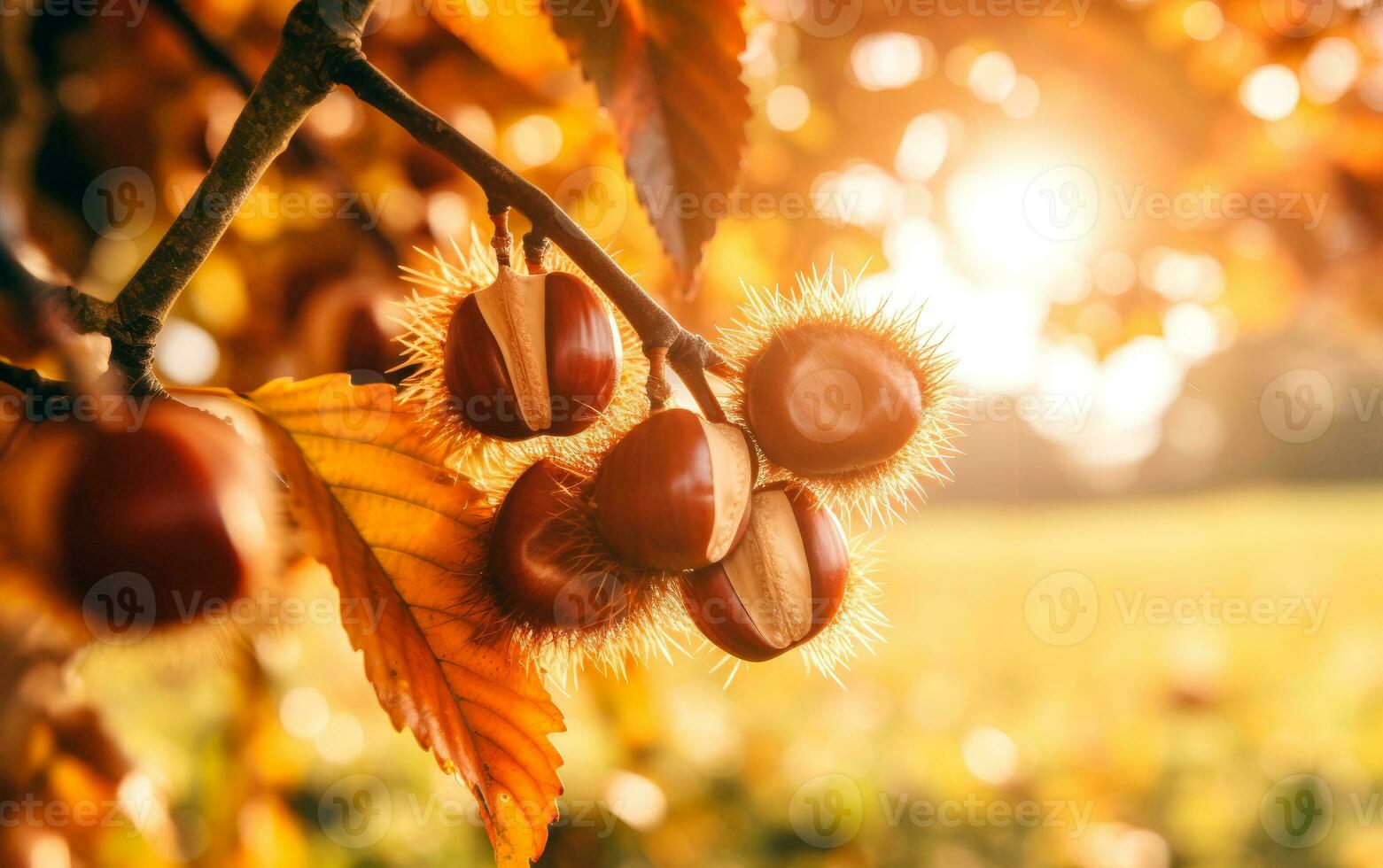 Closeup of fresh chestnuts on vibrant autumn forest. AI Generative photo