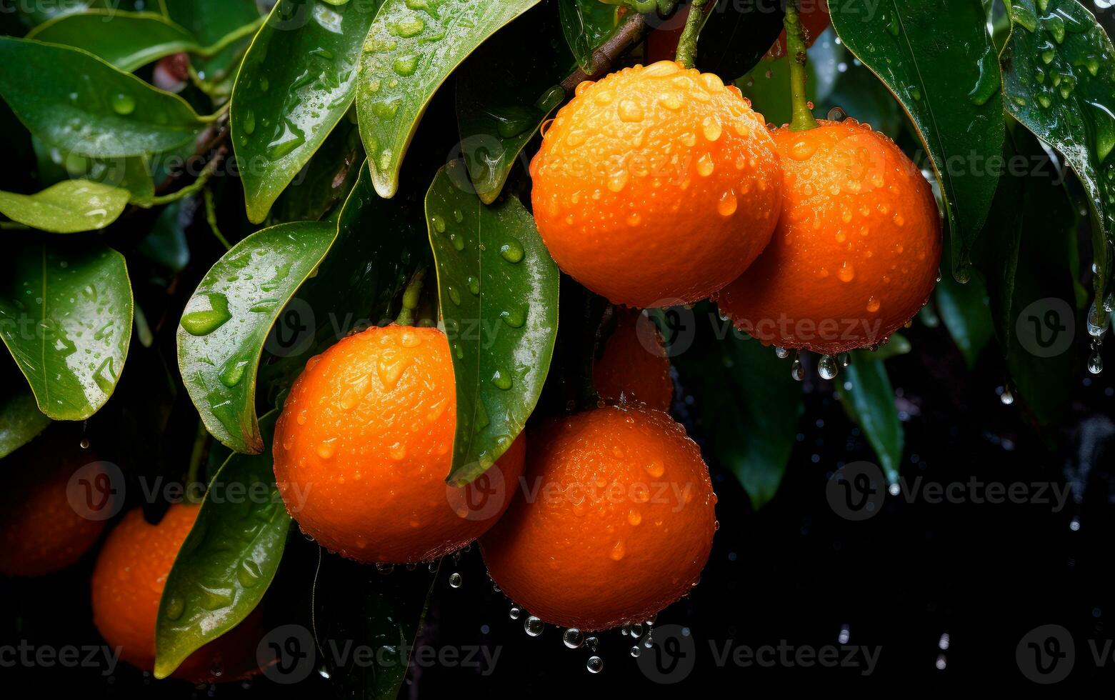 Branch of oranges with rain drops and green leaves on tree. AI Generative photo