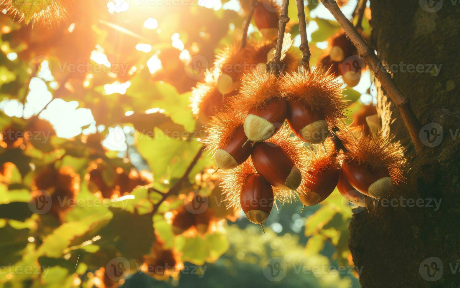 Closeup of fresh chestnuts on vibrant autumn forest. AI Generative photo