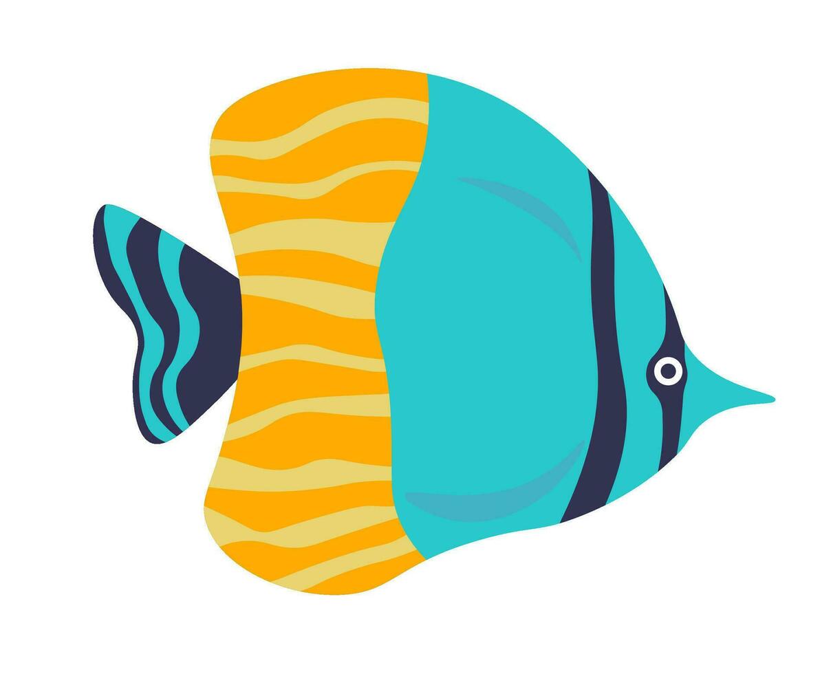 Scribbled angelfish, marine exotic fish vector