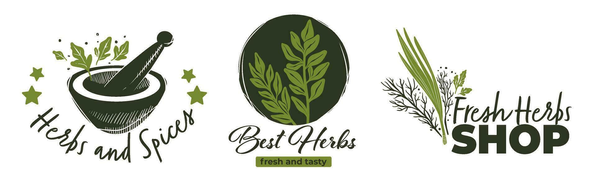 Herbs and spices fresh shop or markets labels vector
