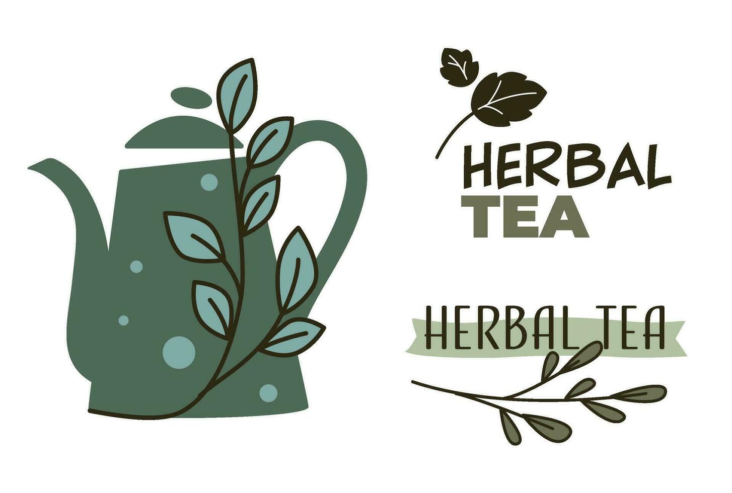 herbario té, tetera con hierbas, menta rama vector