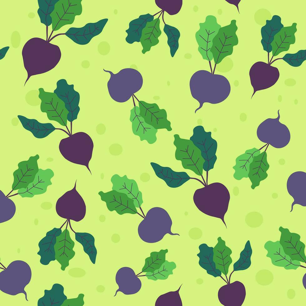 Beetroots with leaves, ripe organic vegetables vector