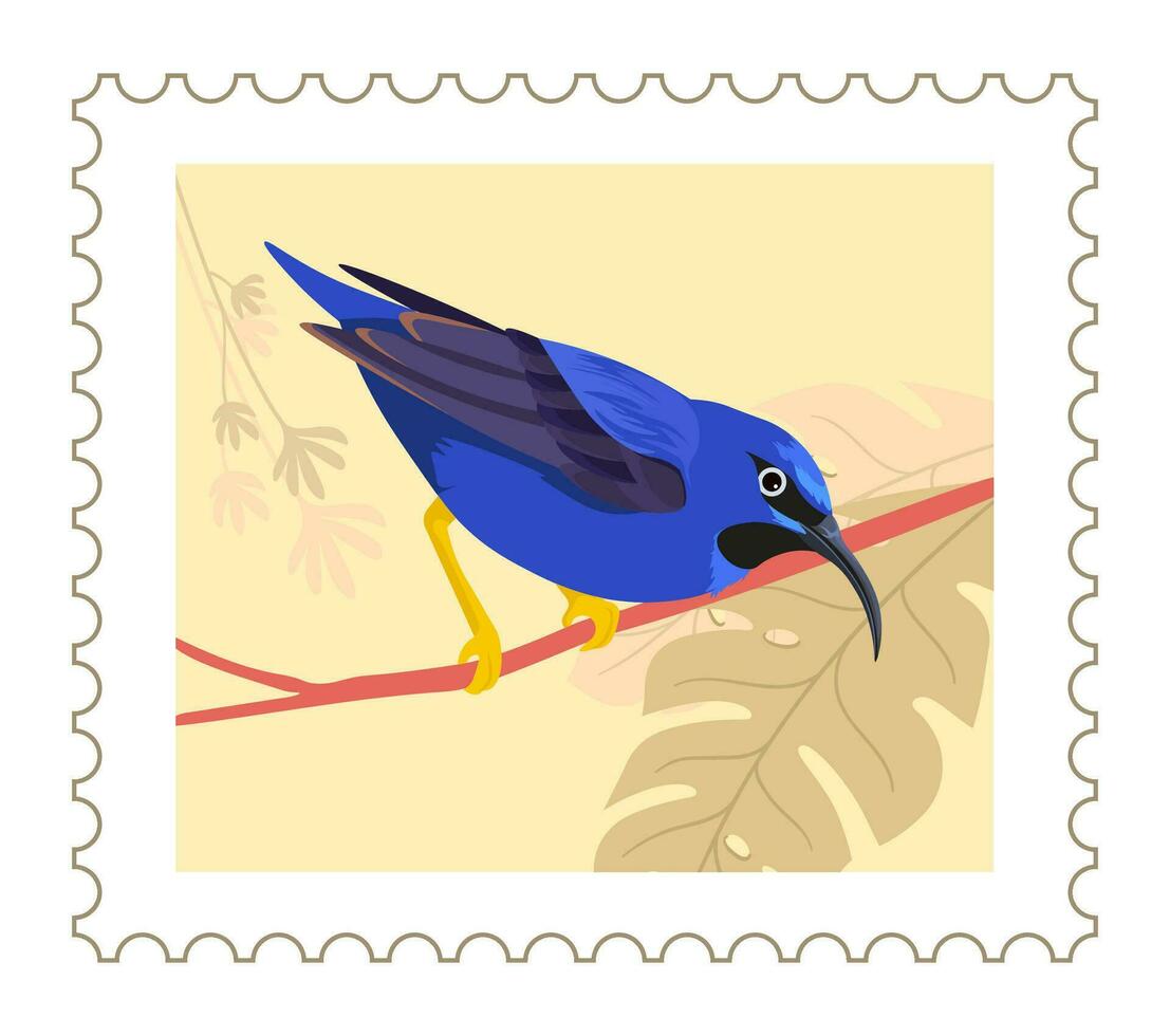 Tropical avian animal on branch, postal marks vector