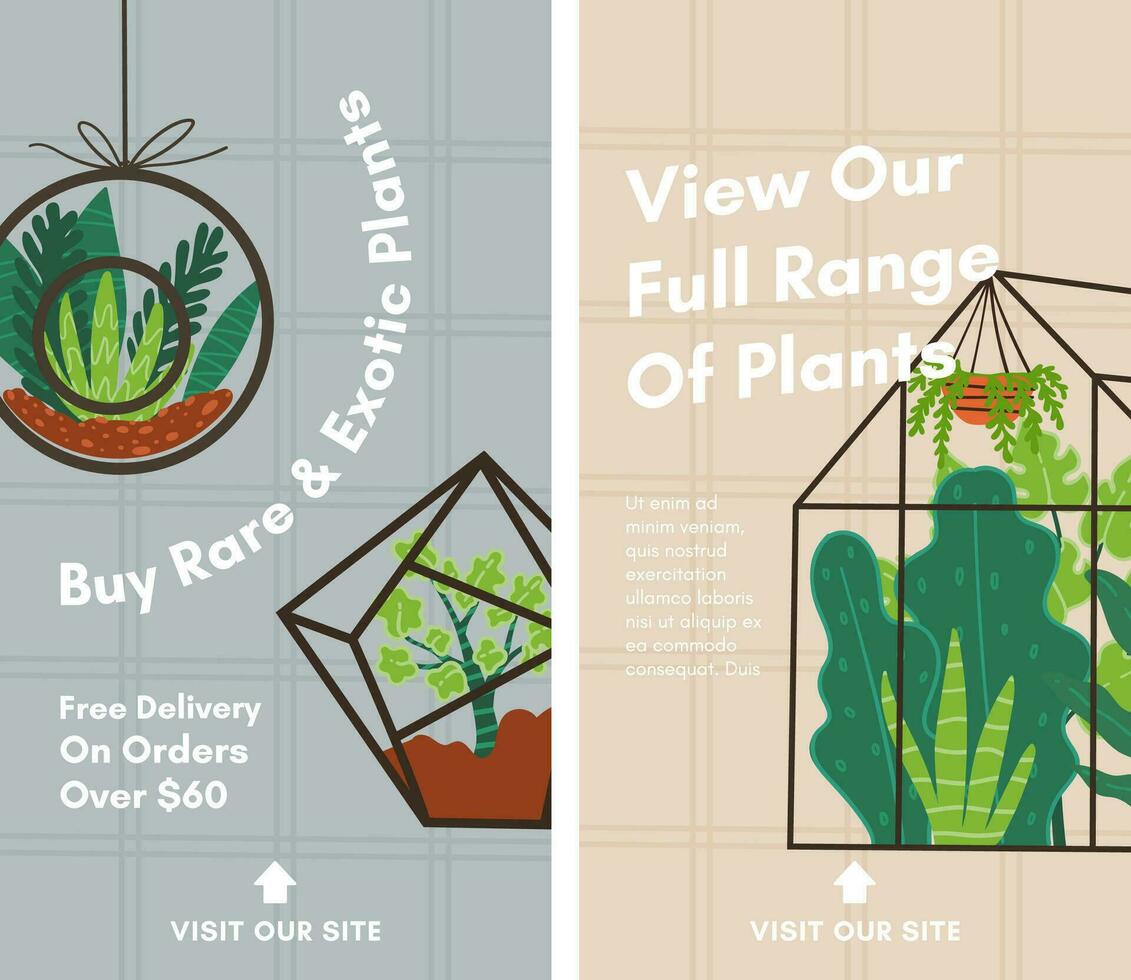 View our full range of plants, buy houseplants vector