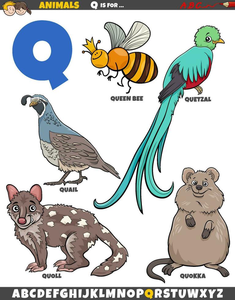 cartoon animal characters for letter Q educational set vector