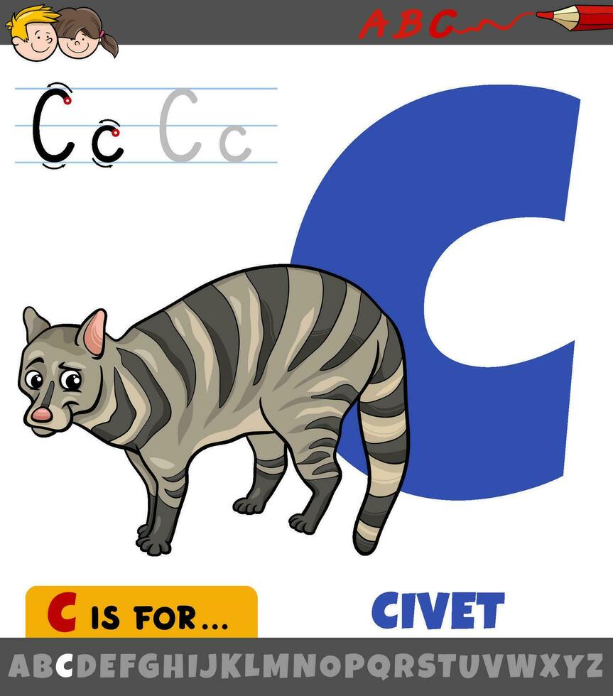 letter C from alphabet with cartoon civet animal character vector