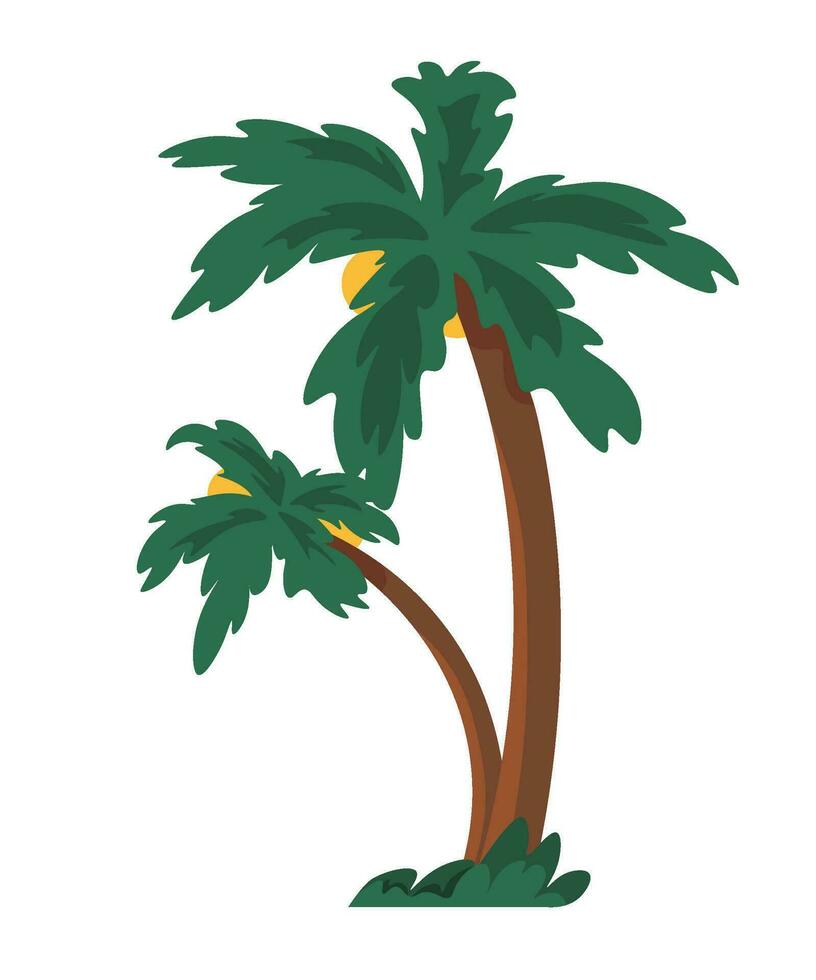 Tropical vegetation, palm tree with leaves vector