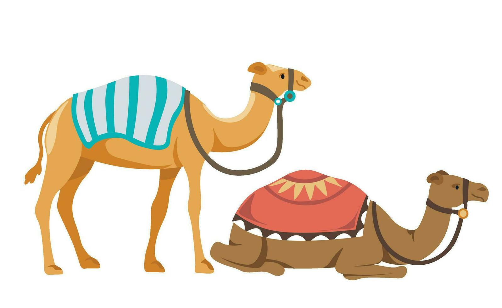 Ecotour camel ride, animals with covers on back vector