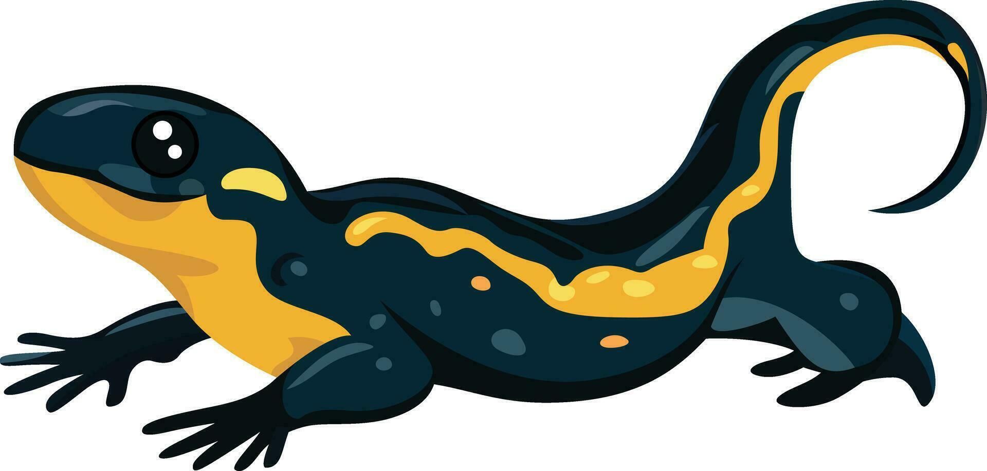 Fire Salamander flat style vector illustration, Salamandra salamandra, black and yellow spotted Salamander, fire lizard stock vector image