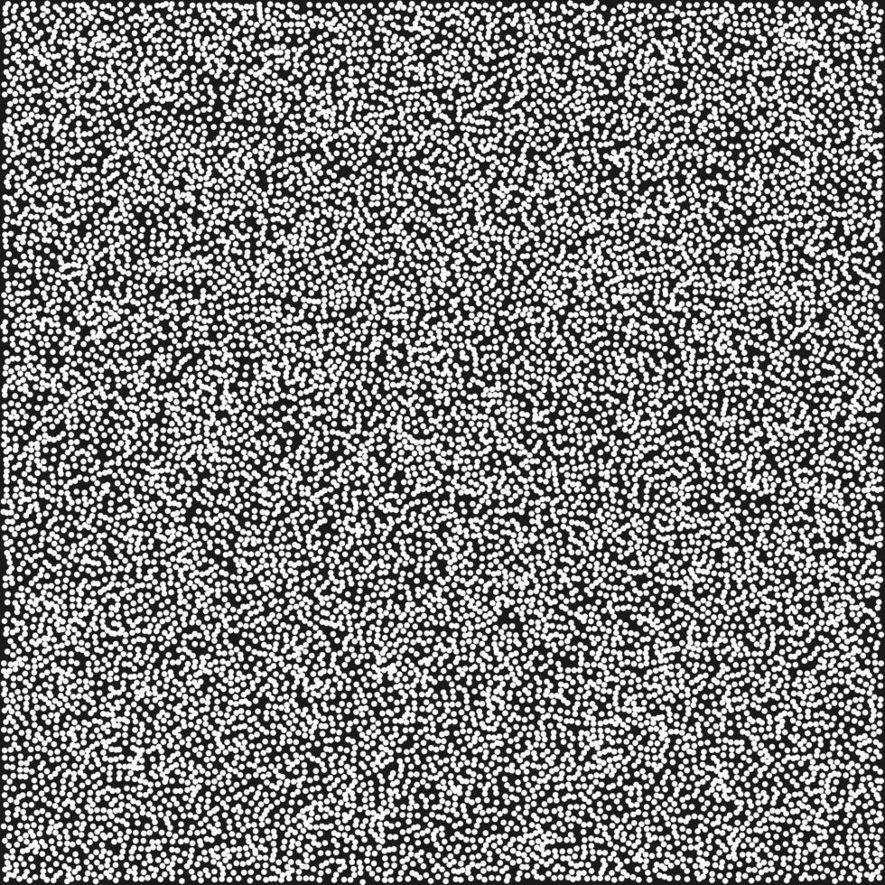 a black and white image of a square white noise texture vector