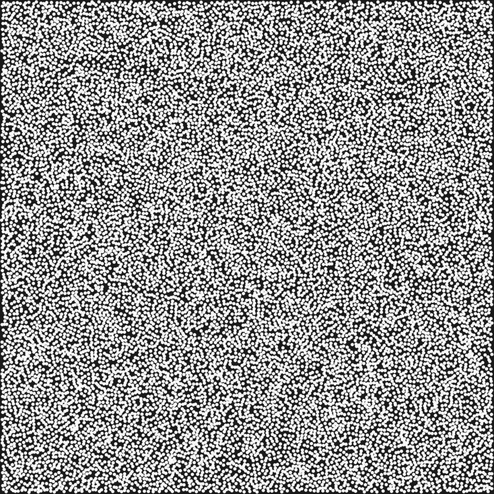 a black and white image of a square white noise texture vector