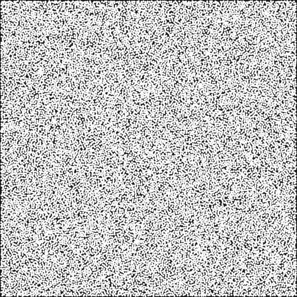 a black and white image of a square white noise texture vector