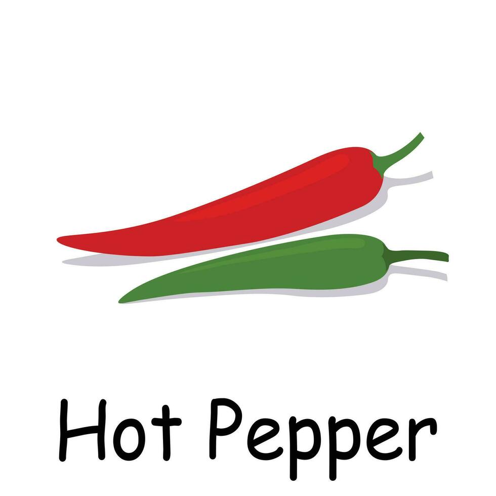 Hot pepper illustration flat vector. Vegetables flashcard. Element for kitchen, cooking, super market, healthy lifestyle concept. vector
