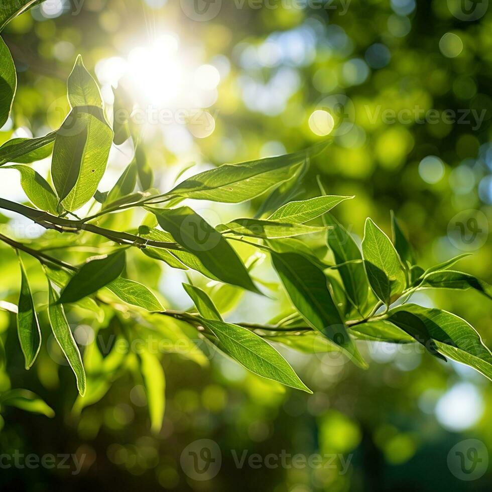 Close up of green leaf in a garden at summer under sunlight with blurred background. Generative AI photo