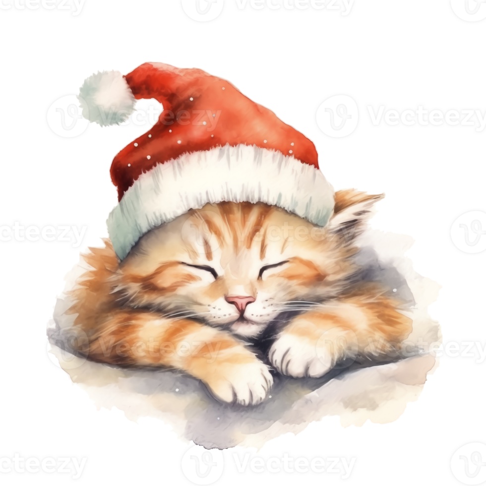 Cute Christmas Watercolor cat in a hat. png
