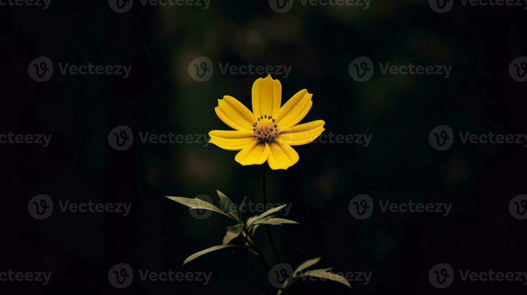 AI Generative single yellow flower in a dark photo