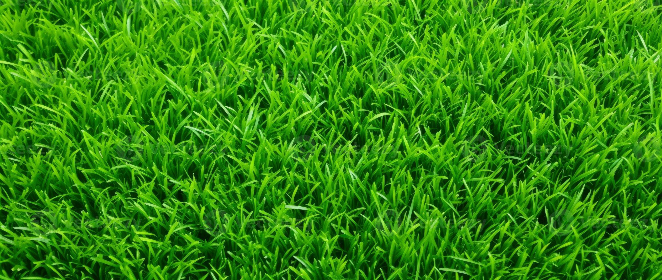 AI Generative green grass background and texture photo