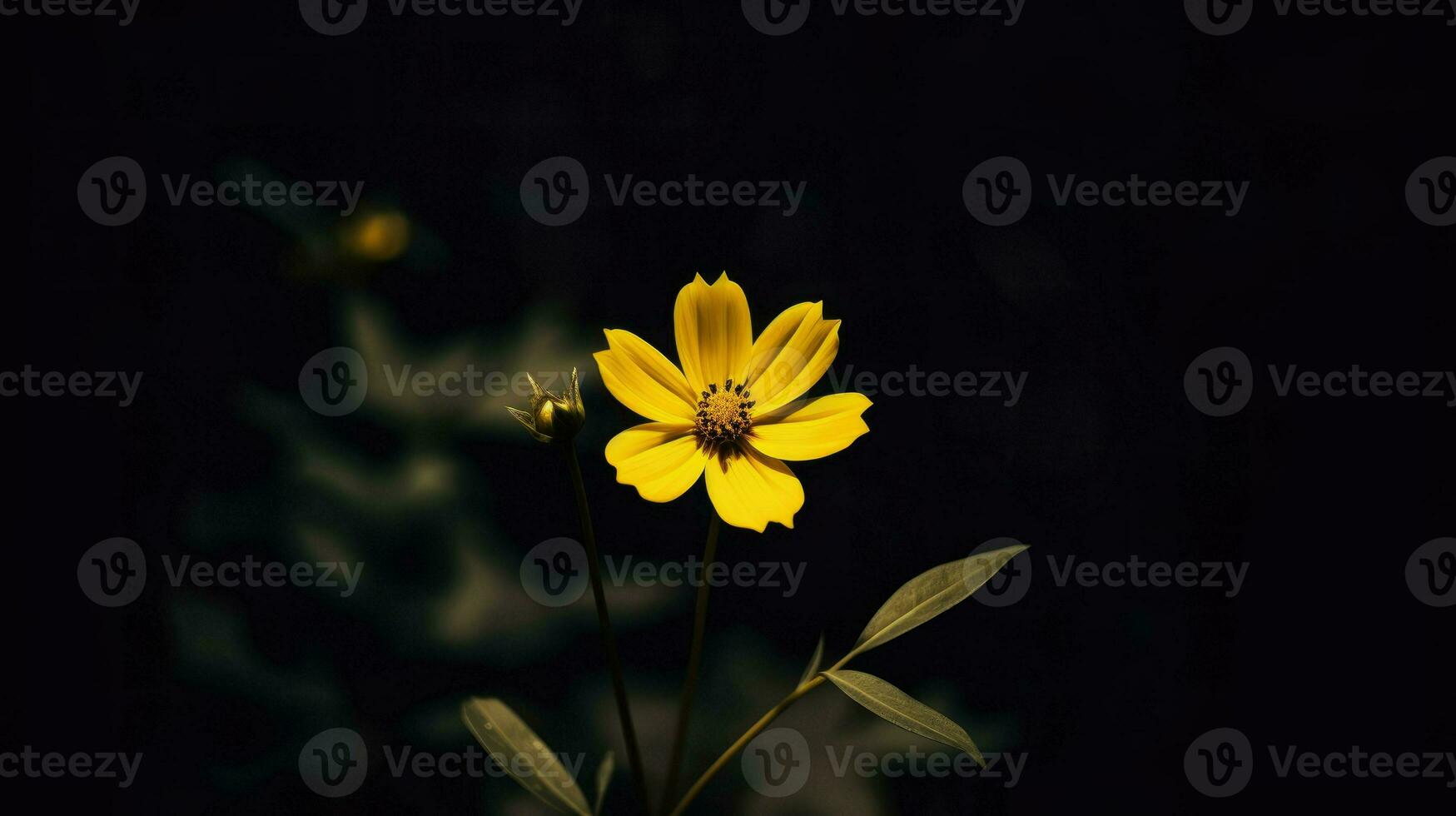 AI Generative single yellow flower in a dark photo