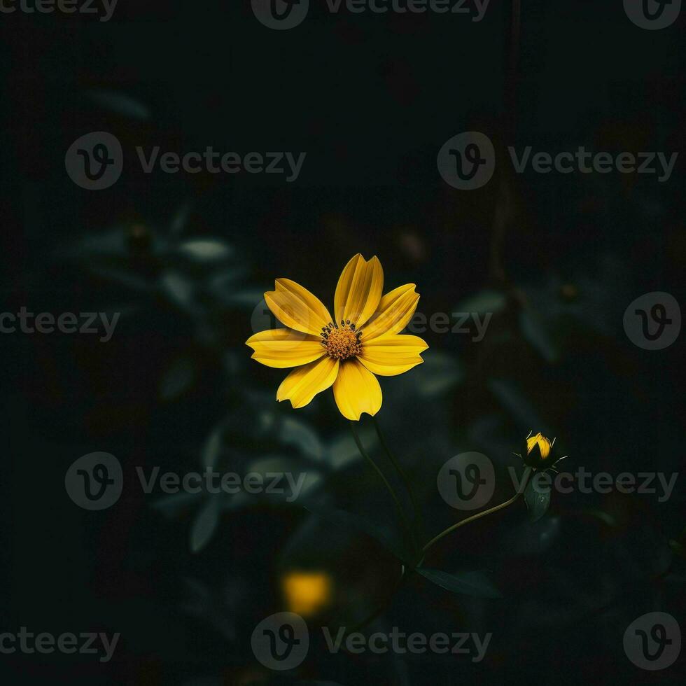 AI Generative single yellow flower in a dark photo