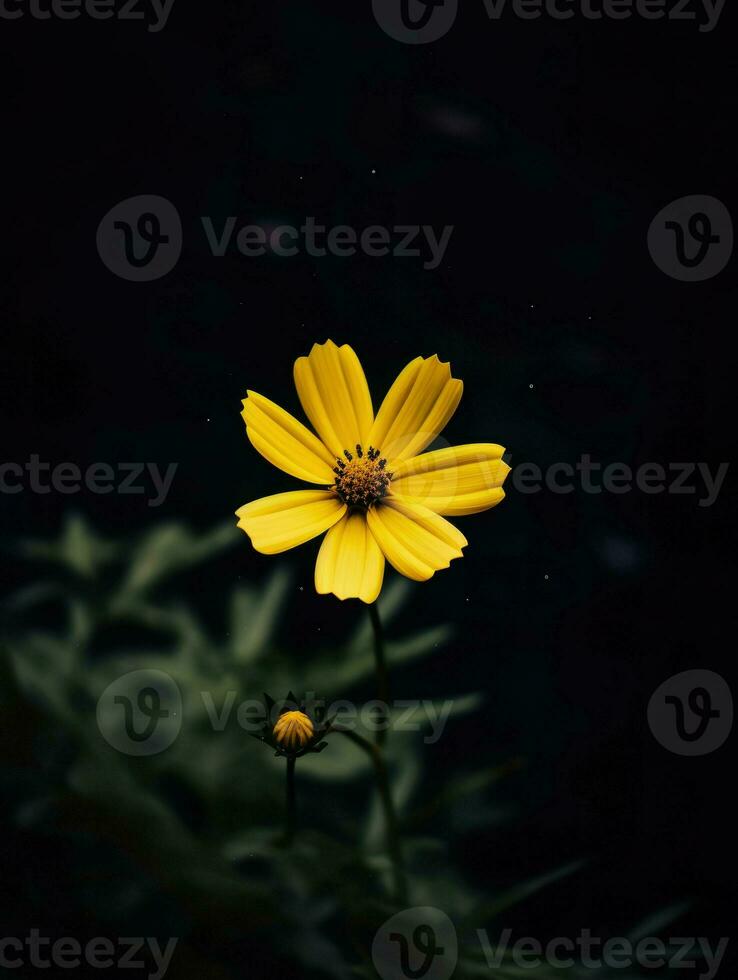 AI Generative single yellow flower in a dark photo
