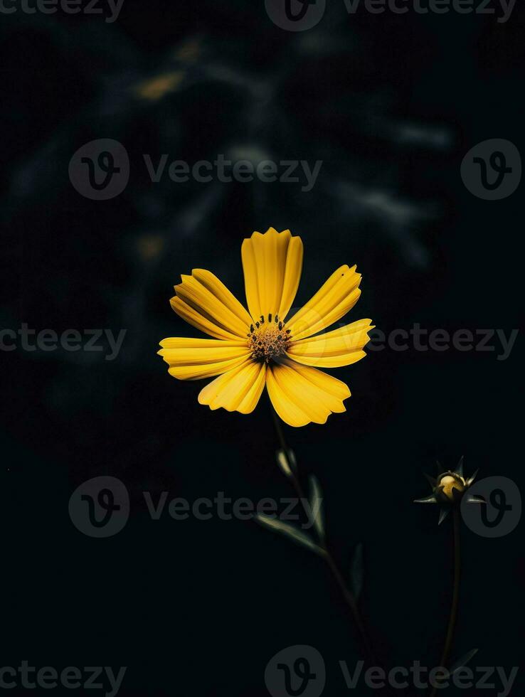 AI Generative single yellow flower in a dark photo