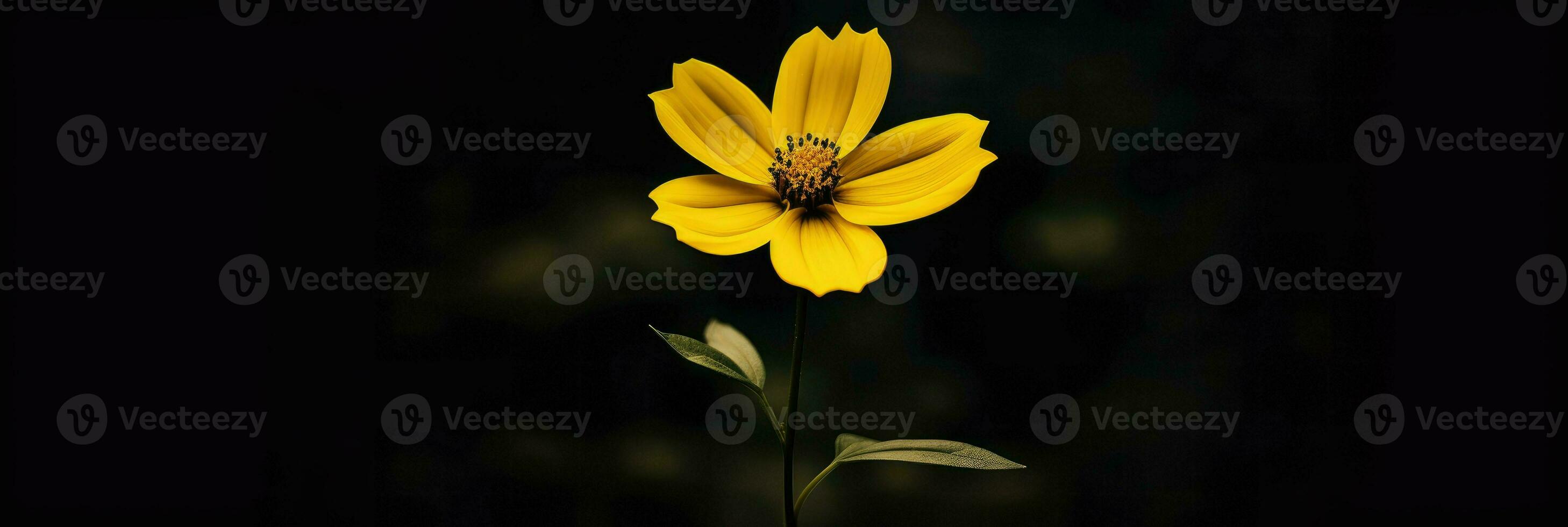 AI Generative single yellow flower in a dark photo