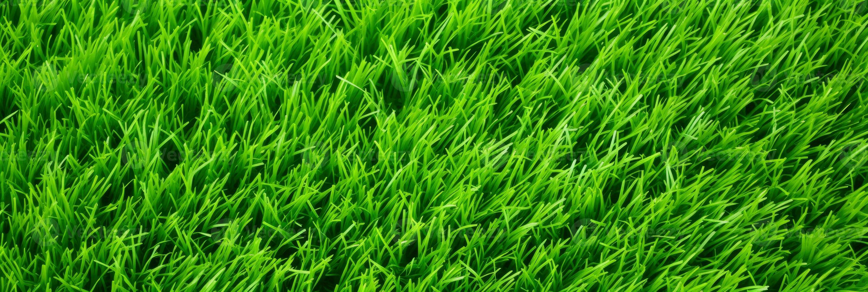 AI Generative green grass background and texture photo