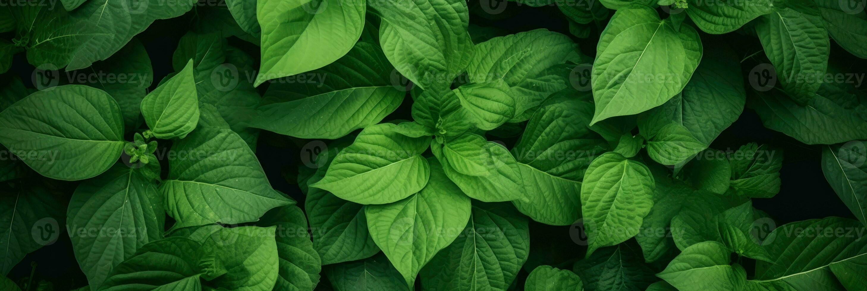 AI Generative green nature leaves photo