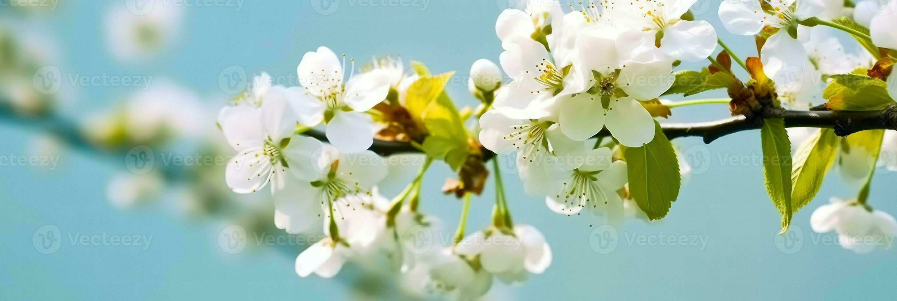 ai generativo blanco flores florecer foto