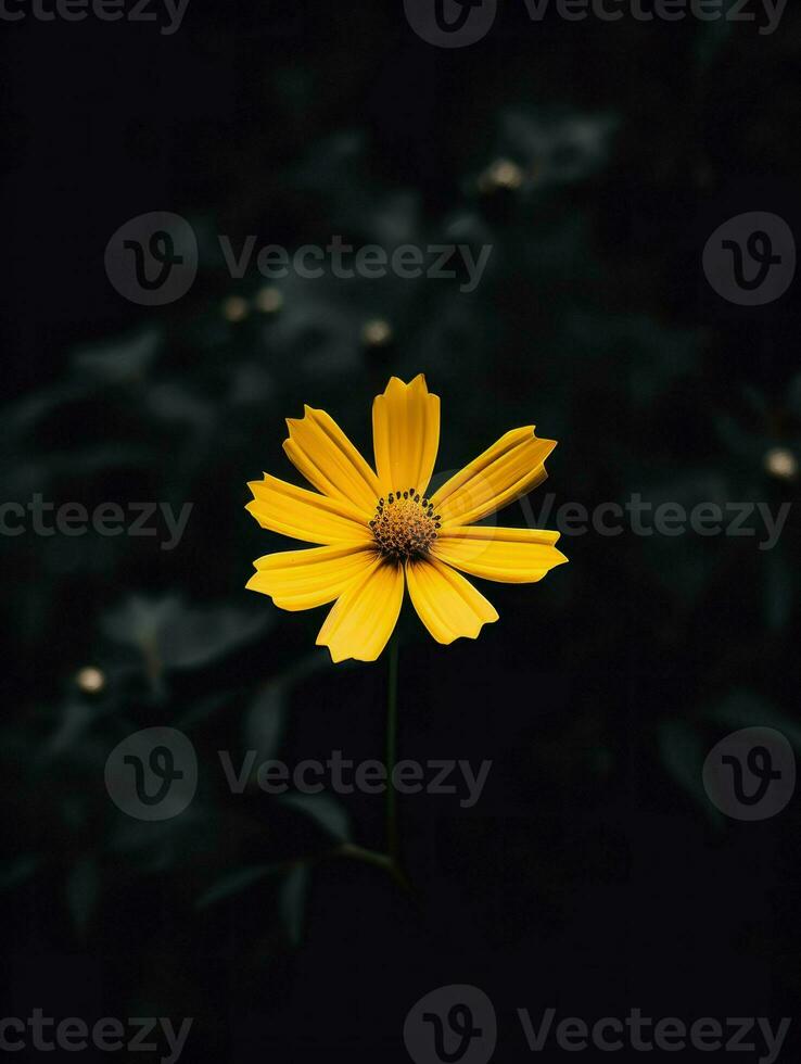 AI Generative single yellow flower in a dark photo