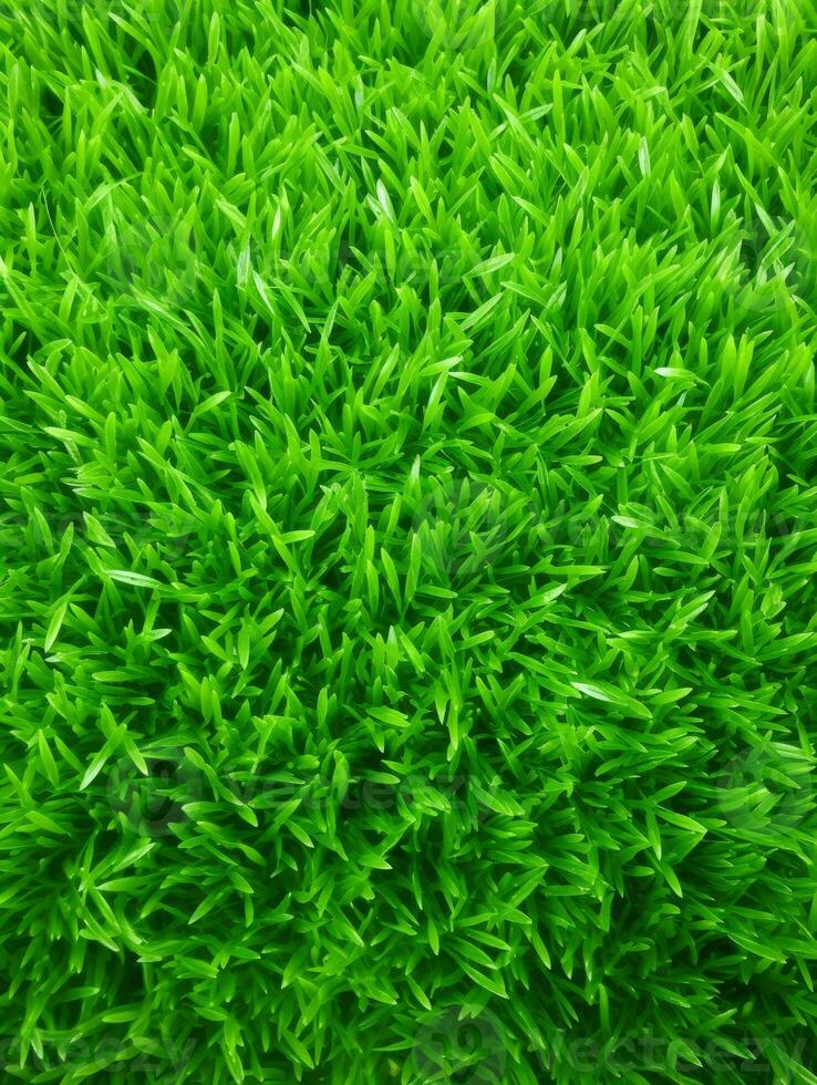 AI Generative green grass background and texture photo