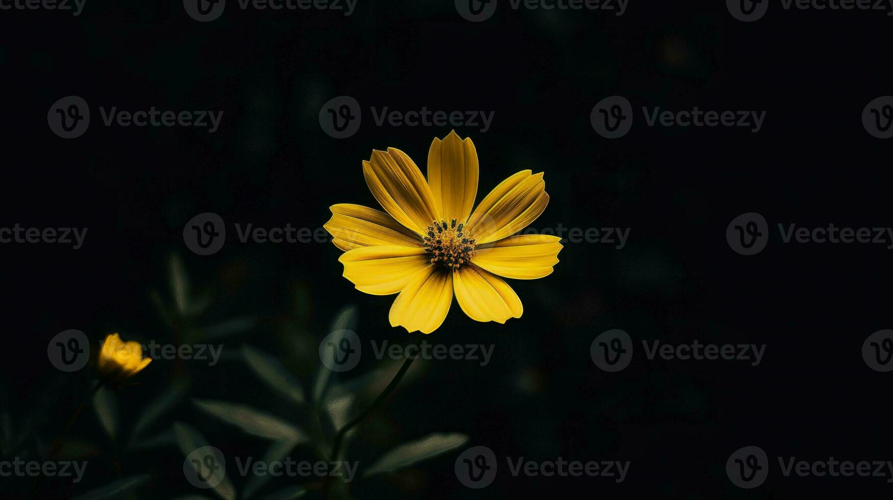AI Generative single yellow flower in a dark photo