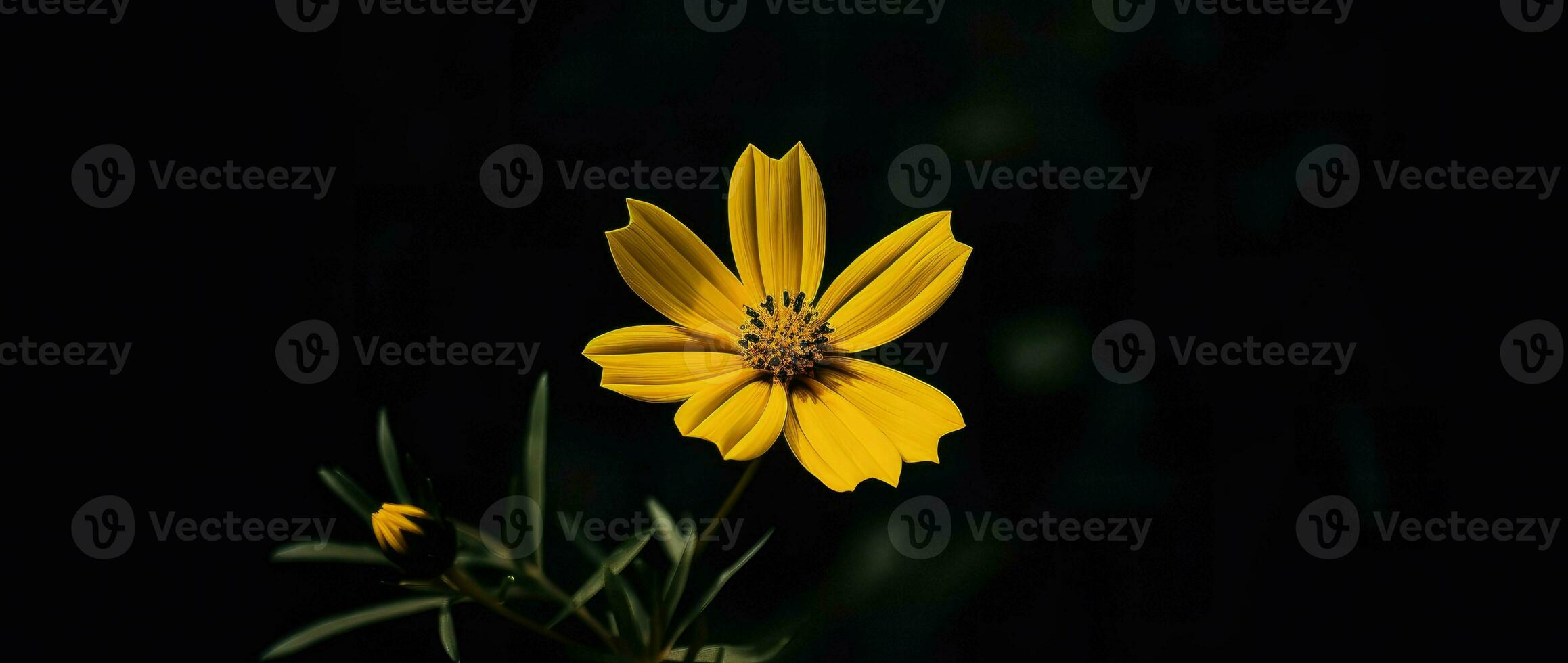 AI Generative single yellow flower in a dark photo