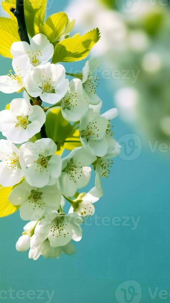 AI Generative white flowers blossom photo