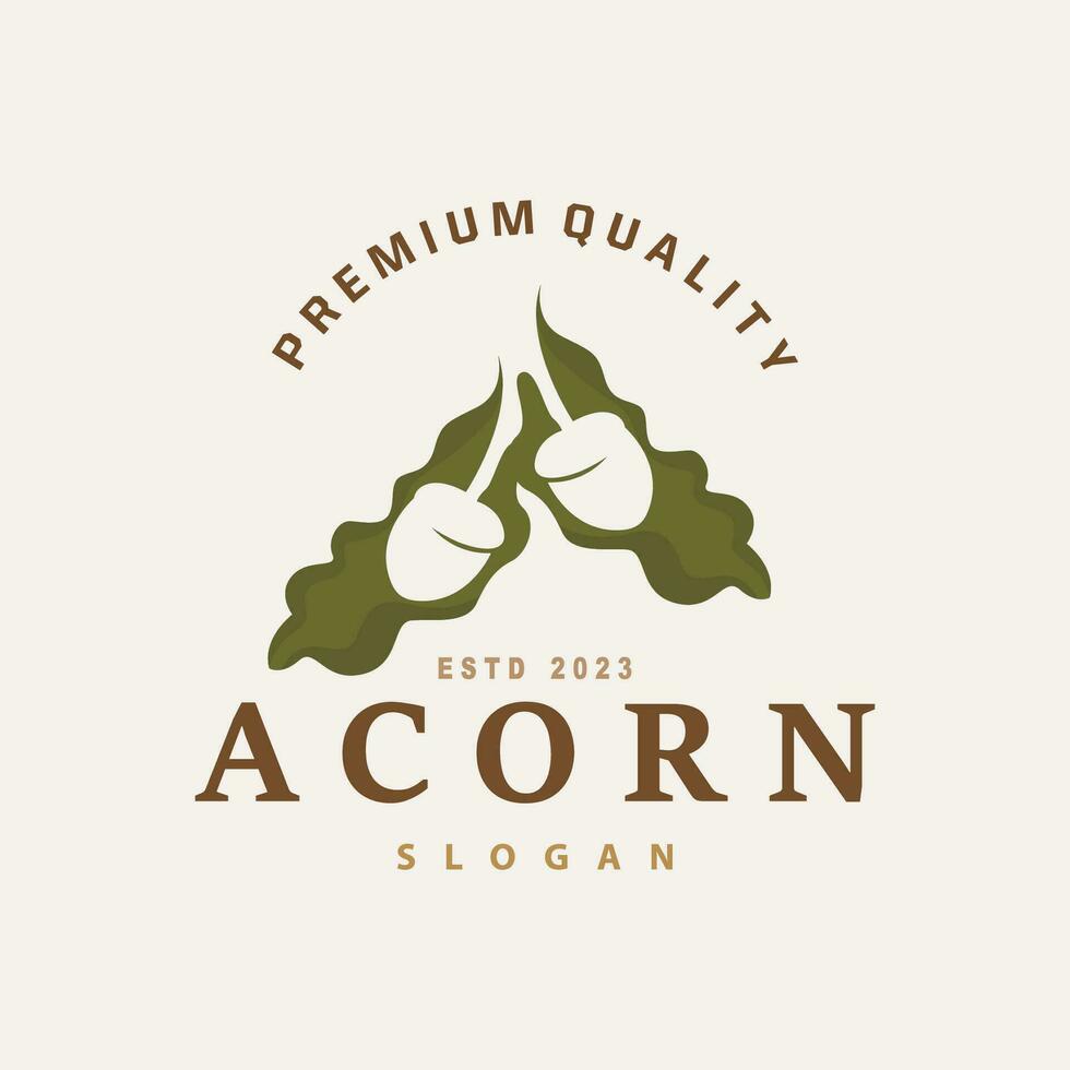 Acorn Logo, Nut Design With Oak Leaves Simple, Templet Illustration Vector