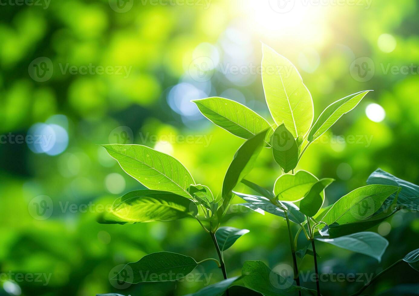 Close up of green leaf in a garden at summer under sunlight with blurred background. Generative AI photo