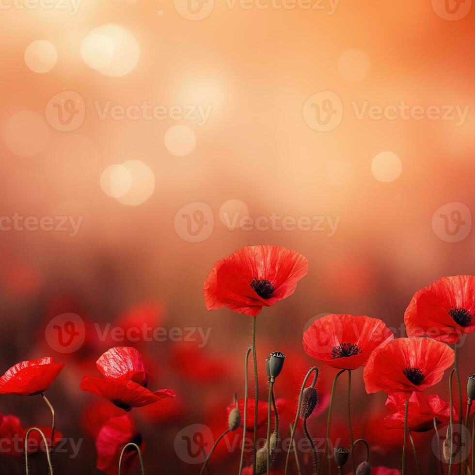 Remembrance Day background with copy space. Red poppy flowers on bokeh background. Suitable for social media posts, posters, and other marketing materials. Generative AI photo