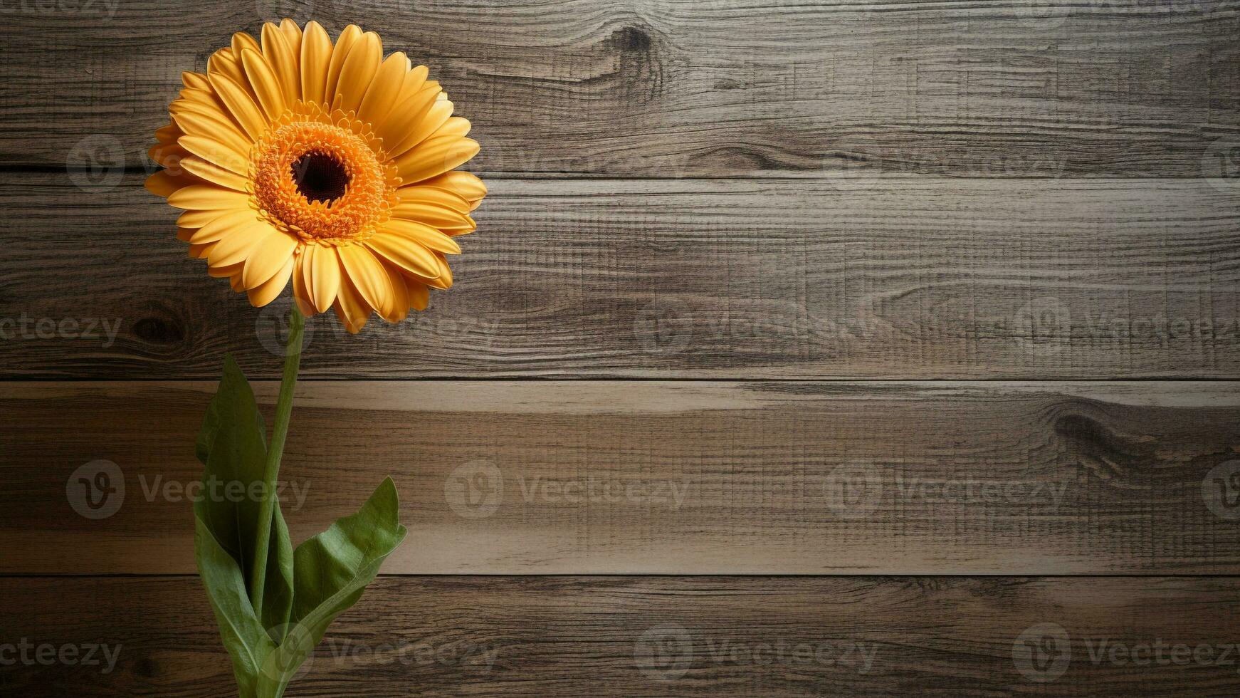 Gerbera Daisy Flower on Wood Background with Copy Space, AI Generative photo