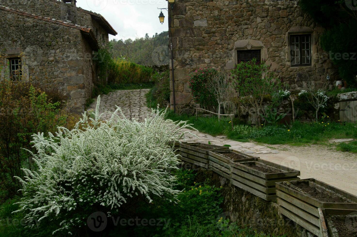 chalancon in ,haute loire,france photo