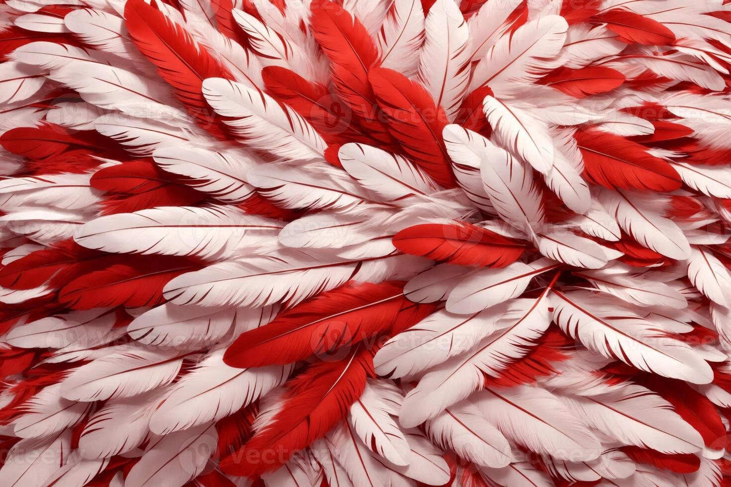 Red Feather Background, Feather Wallpaper, Feathers Background, Fluffy
