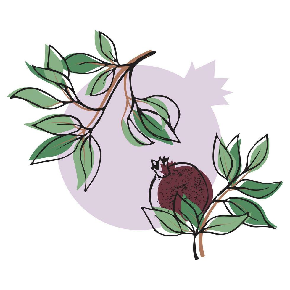 Square vector illustration with pomegranate branches, leaves, and fruit