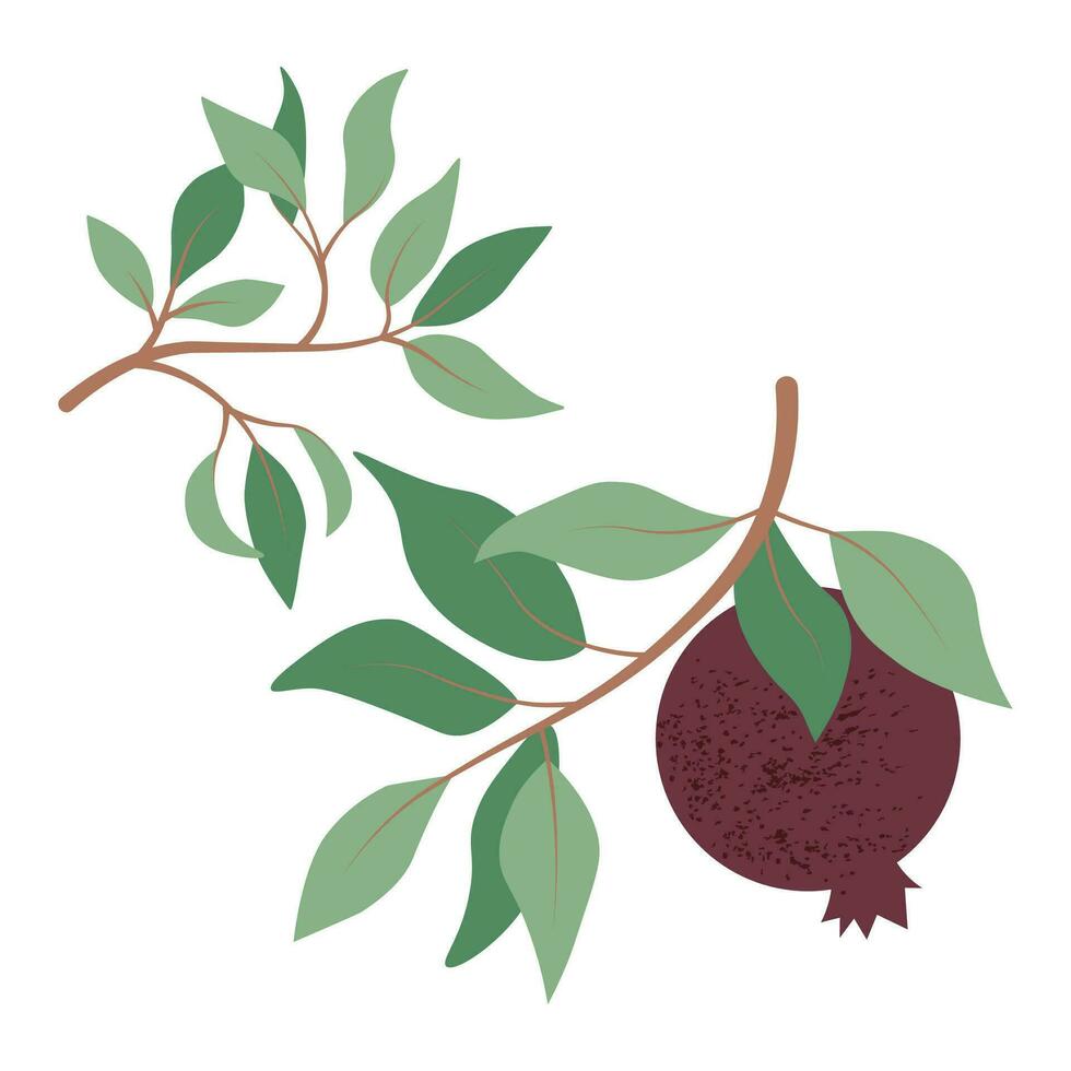 Square vector illustration with pomegranate branches, leaves, and fruit