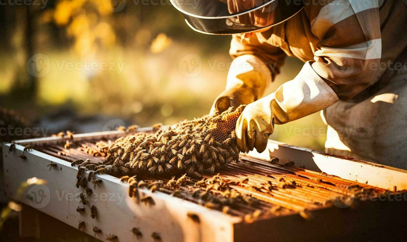Generative Ai, beekeeper holding a honeycomb full of bees. Beekeeper inspecting honeycomb frame at apiary. Beekeeping  ,Beekeeper working collect honey photo