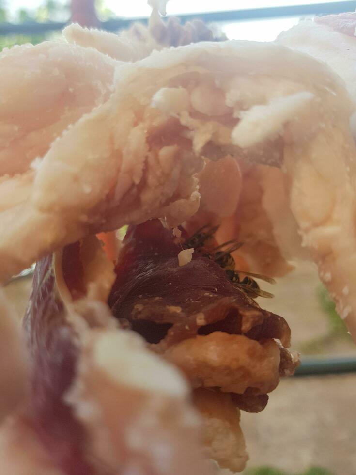Dried meat hanging naturally with the wasp on it photo