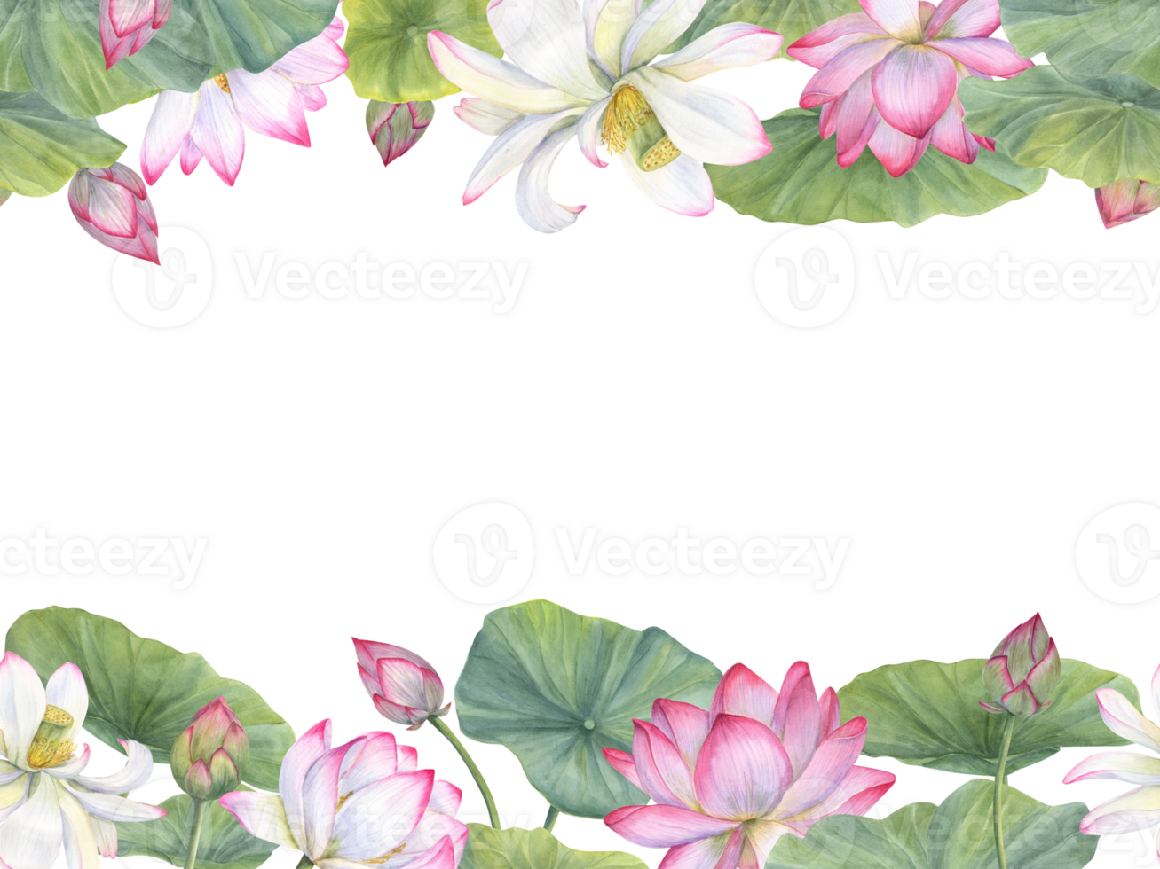 Seamless banner of Vietnamese national flowers. Pink lotus with green leaves. Water lily, Indian lotus, green leaf, bud. Space for text. Watercolor illustration. Horizontal board png