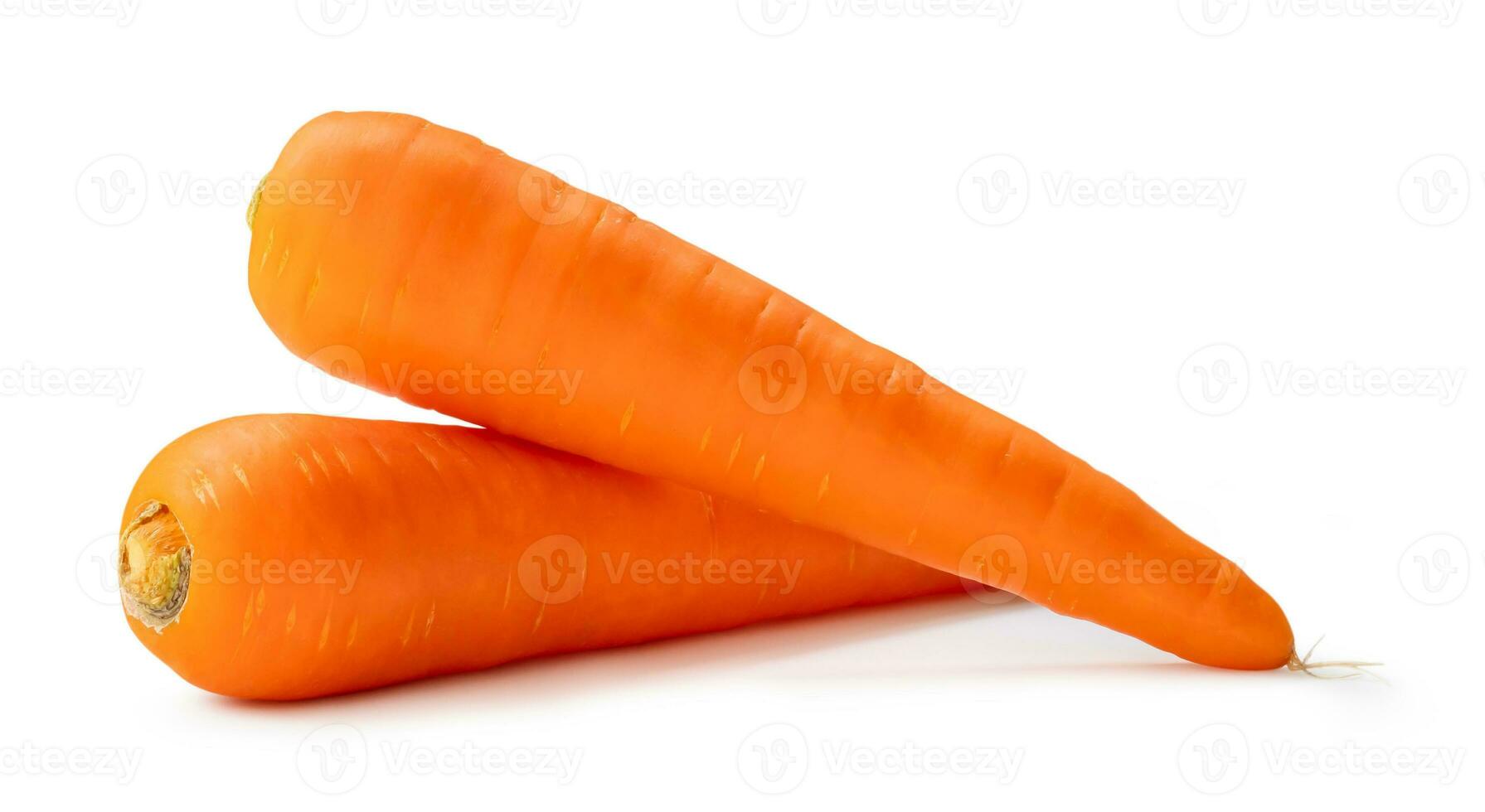 Two fresh orange carrots isolated on white background with clipping path, Close up of healthy vegetable root with full focus photo